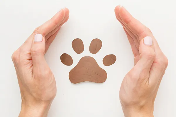 Mãos protegendo uma pata de cachorro desenhada